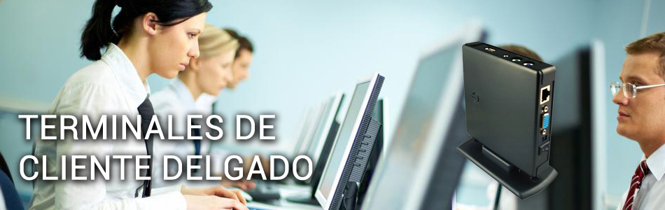 Terminales de Cliente Delgado